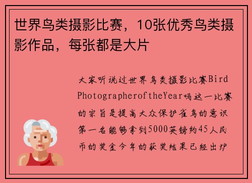世界鸟类摄影比赛，10张优秀鸟类摄影作品，每张都是大片
